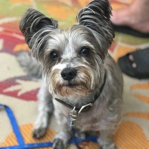 Meet your Posher, Darlene